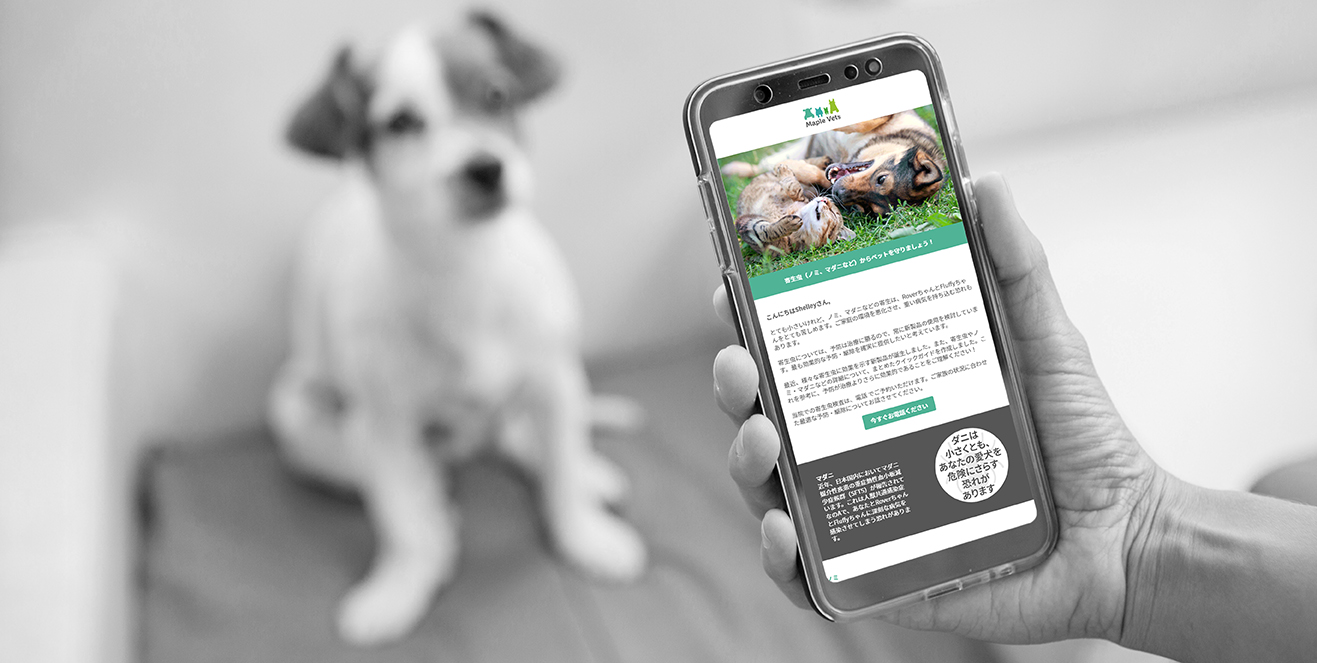 Automatic, personalised, veterinary communications